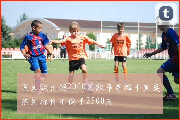 国米欲出超2000万欧争夺维卡里奥热刺标价不低于2500万