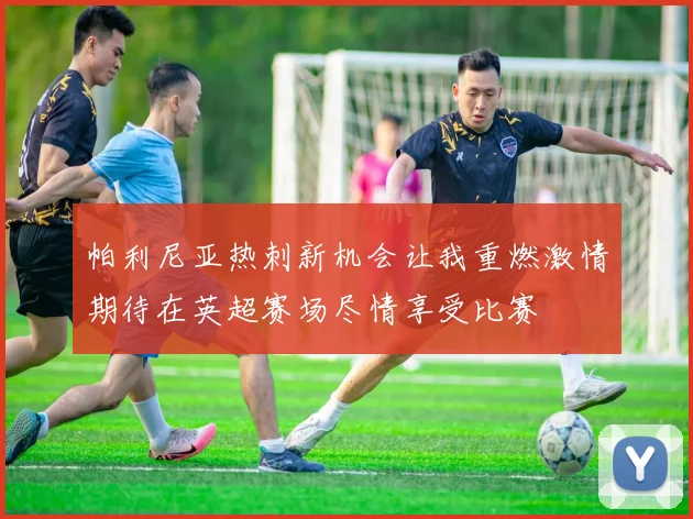 帕利尼亚热刺新机会让我重燃激情期待在英超赛场尽情享受比赛