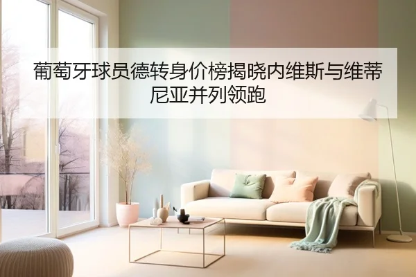 葡萄牙球员德转身价榜揭晓内维斯与维蒂尼亚并列领跑（LDSPORTS）